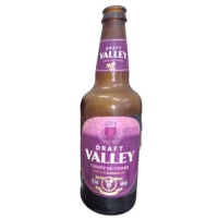 imagem de CHOPP VIN.DRAFT VALLEY 500ML